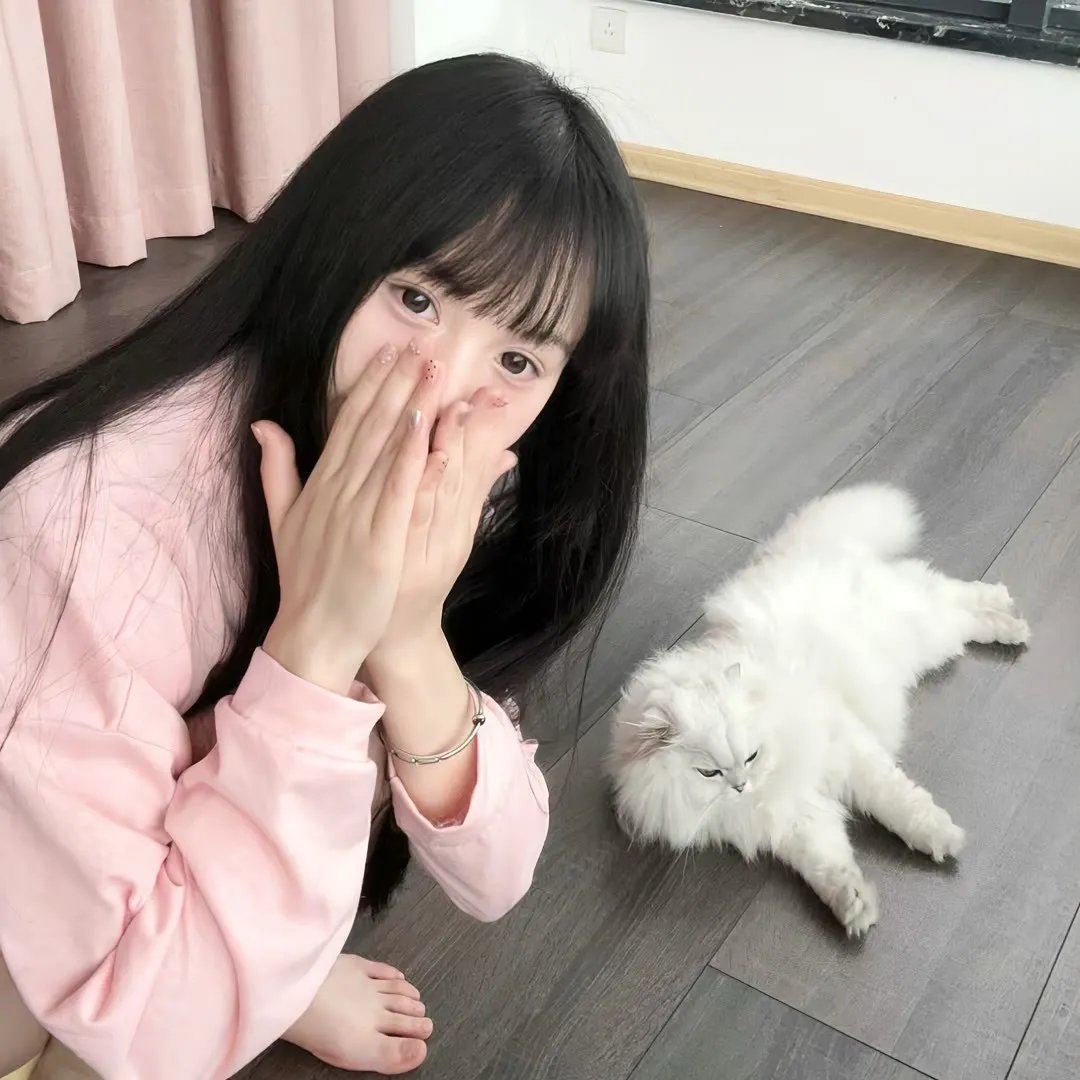 犹如故人来